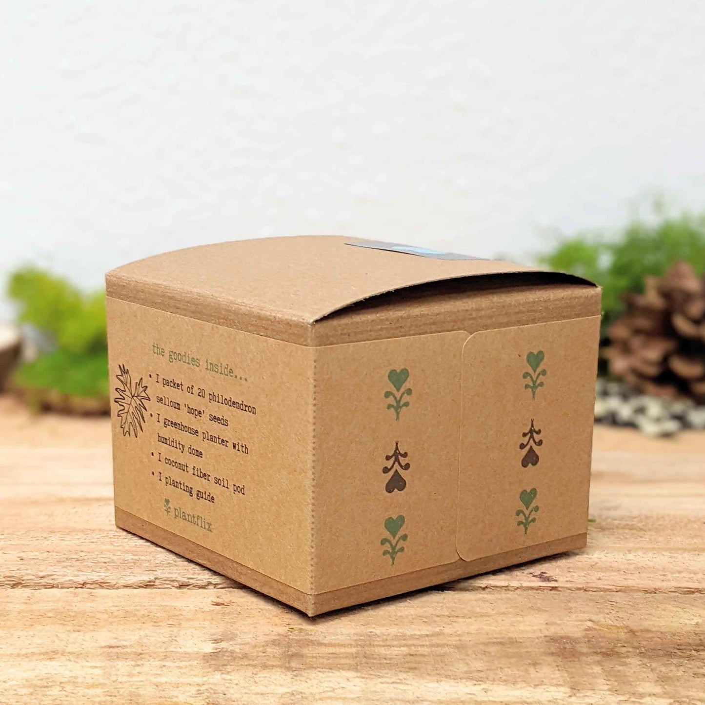 Philodendron seed kit box side with small green plant-stem icons