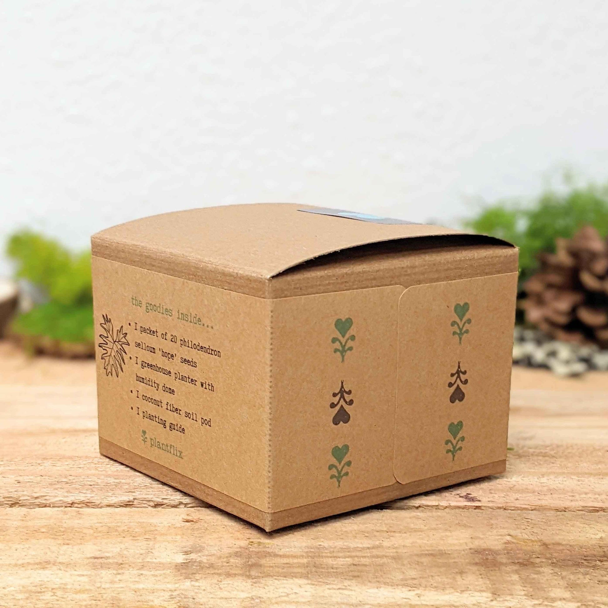Philodendron seed kit box side with small green plant-stem icons