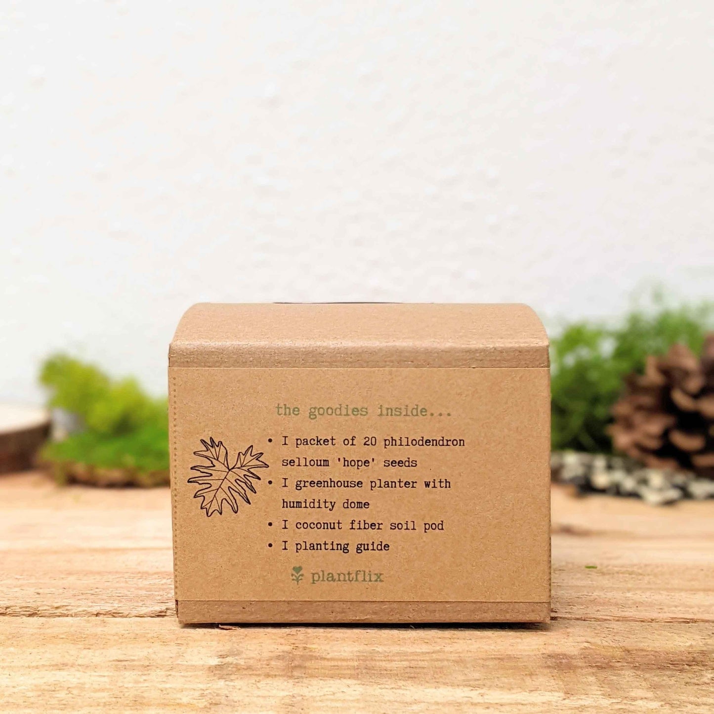 Philodendron seed kit box back panel listing contents and plantflix logo