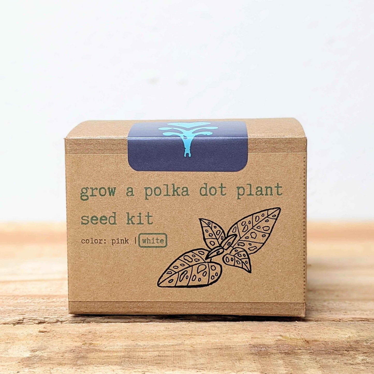 Grow a Polka Dot Seed Kit front panel with pink/white color selection mark