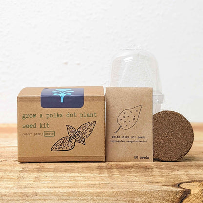Grow a polka dot seed kit: box and seed packet, pink & white polka dots