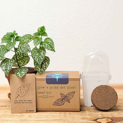 Grow a Polka Dot Seed Kit box with pink/white seed color label and seed container
