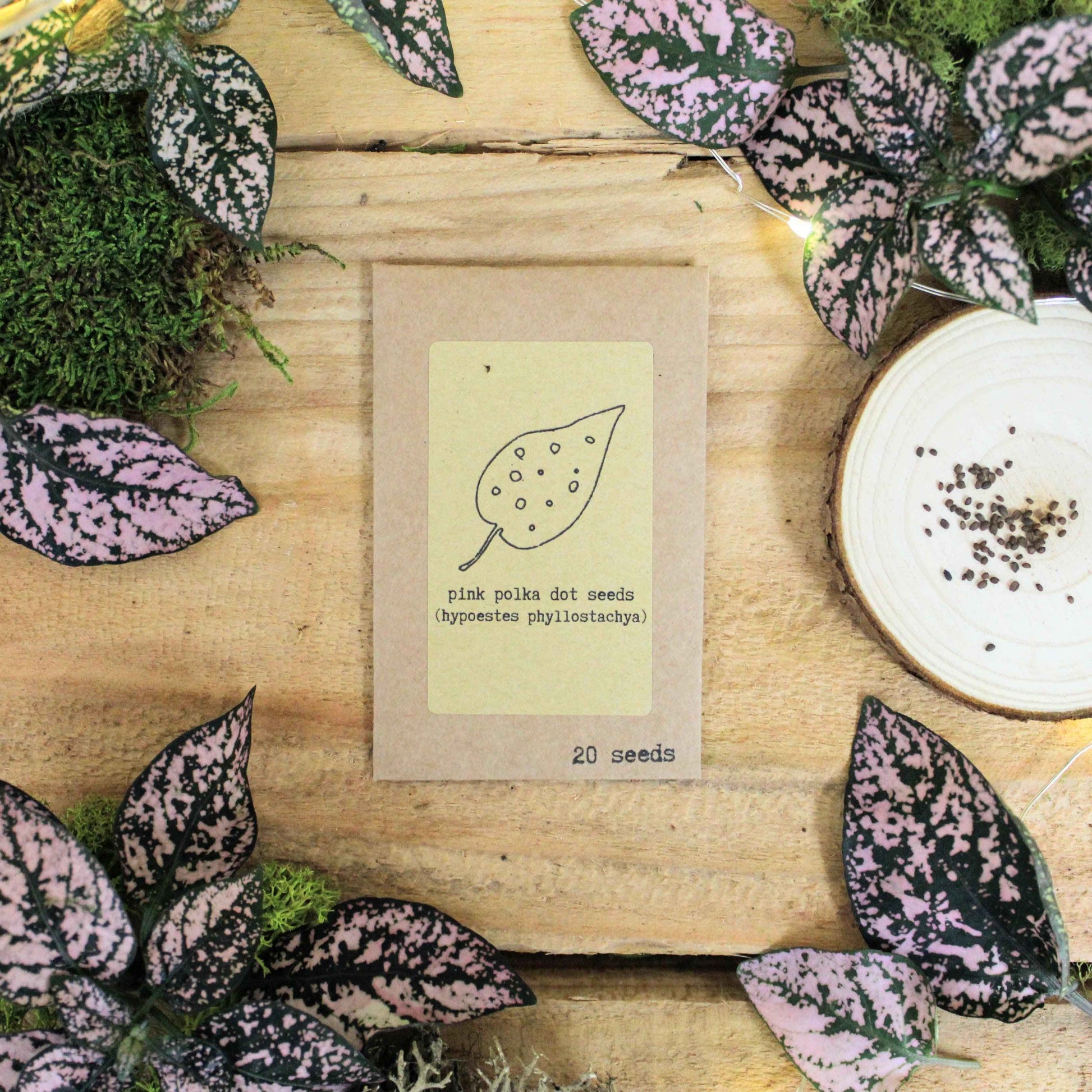 Seed packet label for pink polka dot seeds, 20 seeds