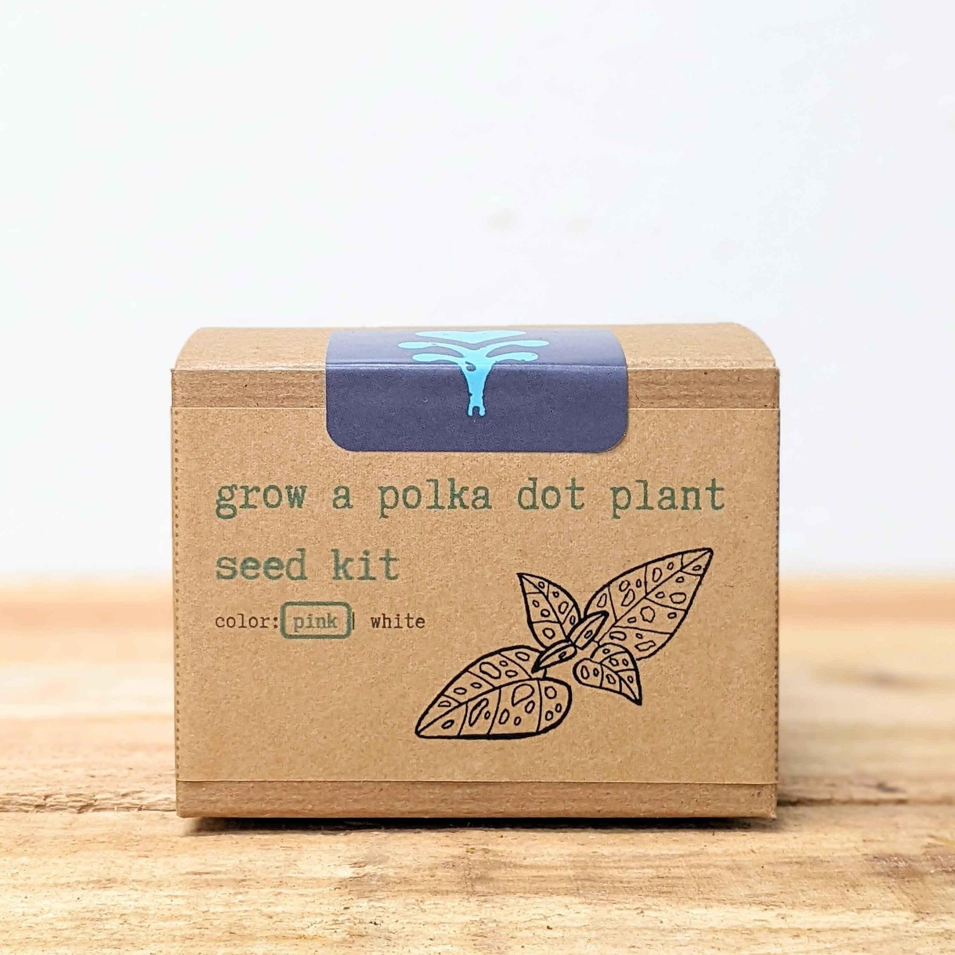 Grow a Polka Dot Seed Kit box front with seed color option pink/white