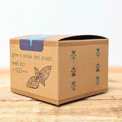 Grow a Polka Dot Seed Kit shipping box with front panel artwork