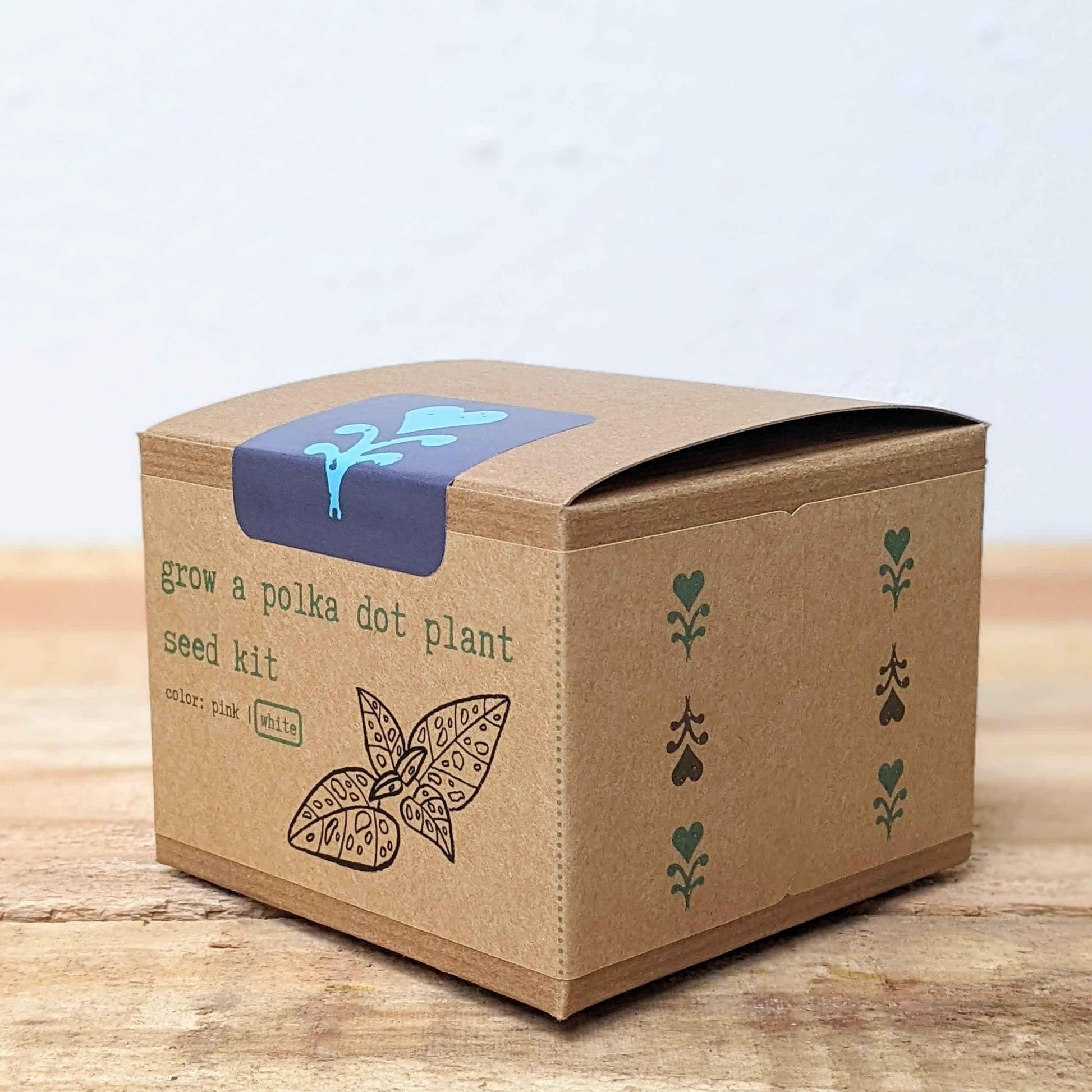 Grow a Polka Dot Seed Kit box front corner with botanical icons