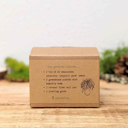 Plantflix ponytail palm seed kit box back panel with contents list
