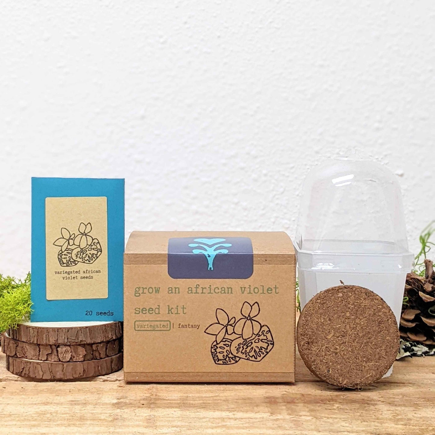 Grow an African Violet seed kit box with seed packet and coconut fiber soil pod