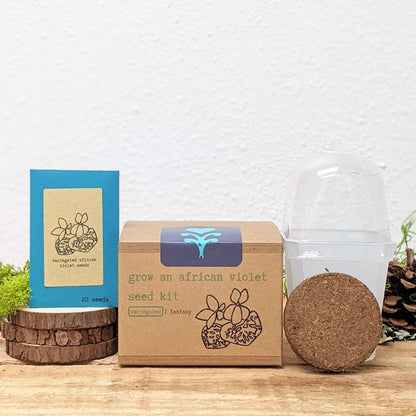 Grow an African Violet seed kit box with seed packet and coconut fiber soil pod