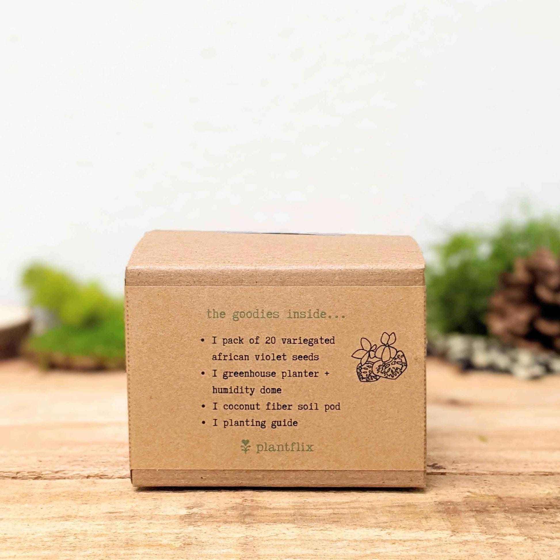 Grow an African Violet seed kit box back panel for variegated seeds