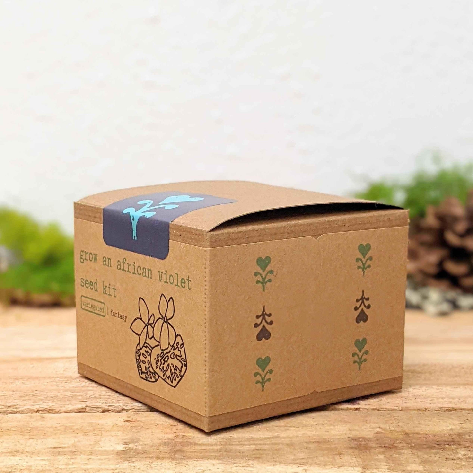 Grow an African Violet seed kit side panel with blue top label and seed kit graphic