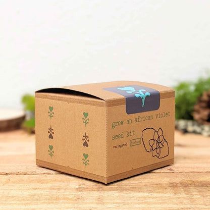 Grow an African Violet seed kit cardboard box with front label and blue emblem