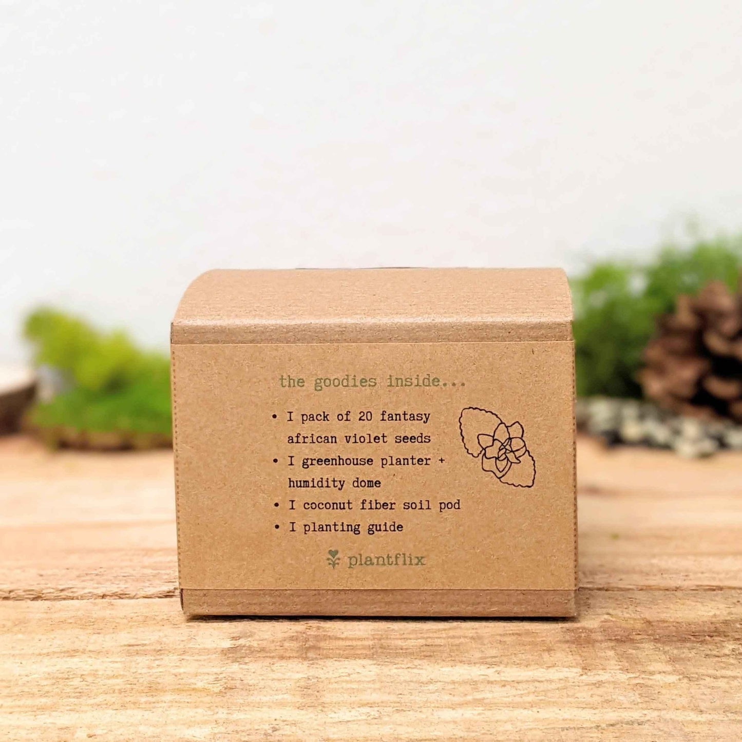 Grow an African Violet seed kit box back panel listing contents