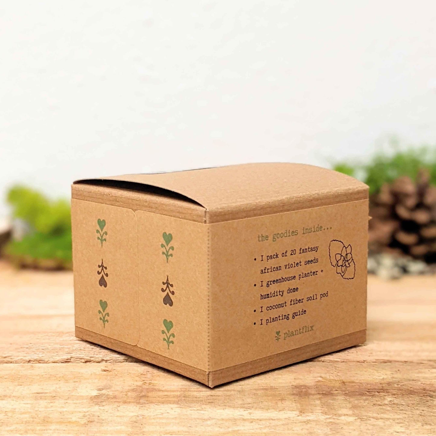Grow an African Violet seed kit box back panel with bullets and Plantflix logo