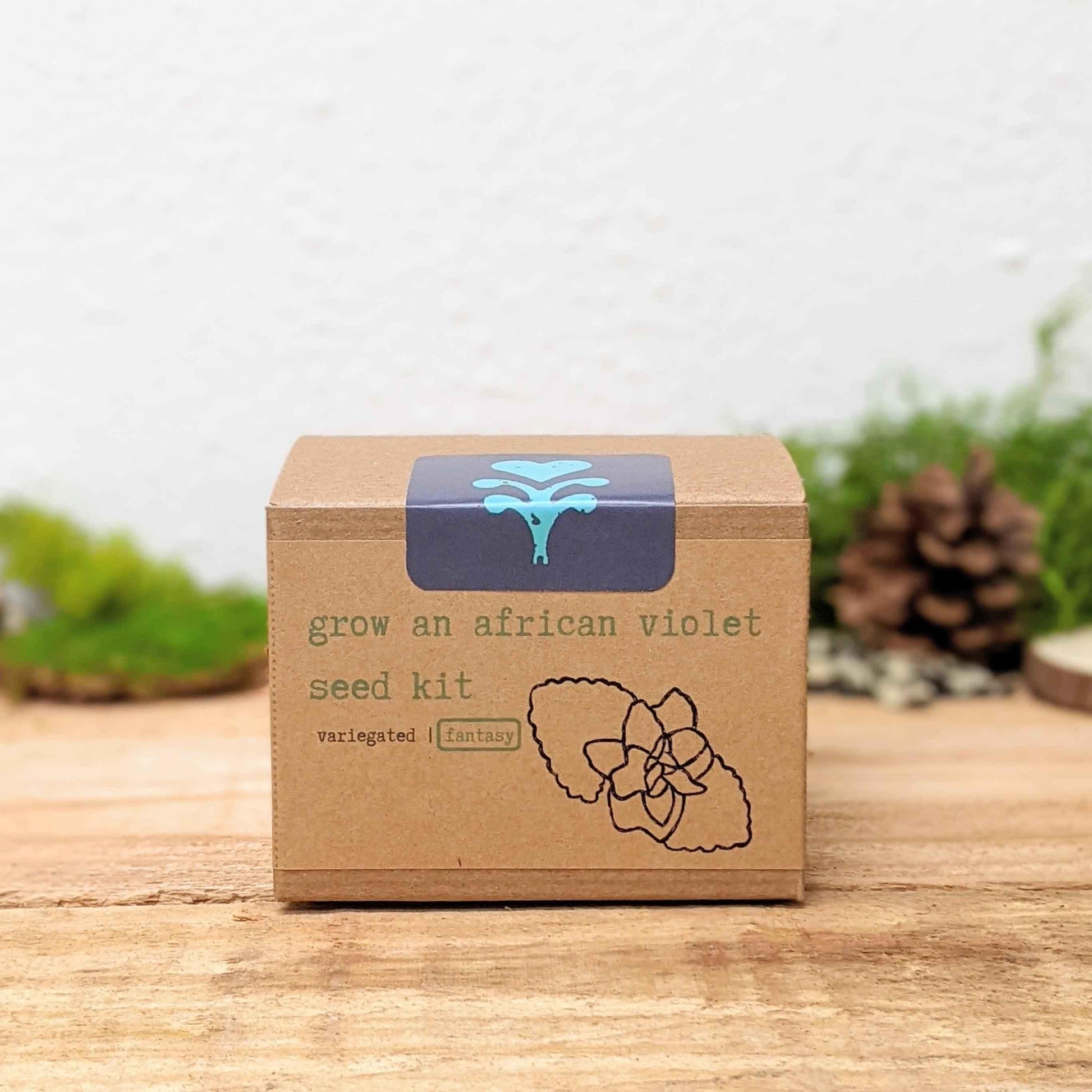 Grow an African Violet seed kit with blue top label and outlined flower illustration