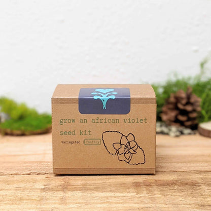 Grow an African Violet seed kit with blue top label and outlined flower illustration