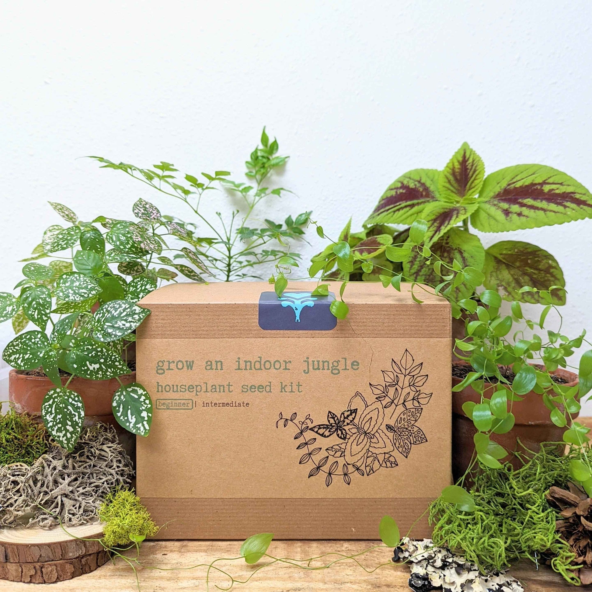 Indoor jungle houseplant seed kit box with leafy houseplants around it