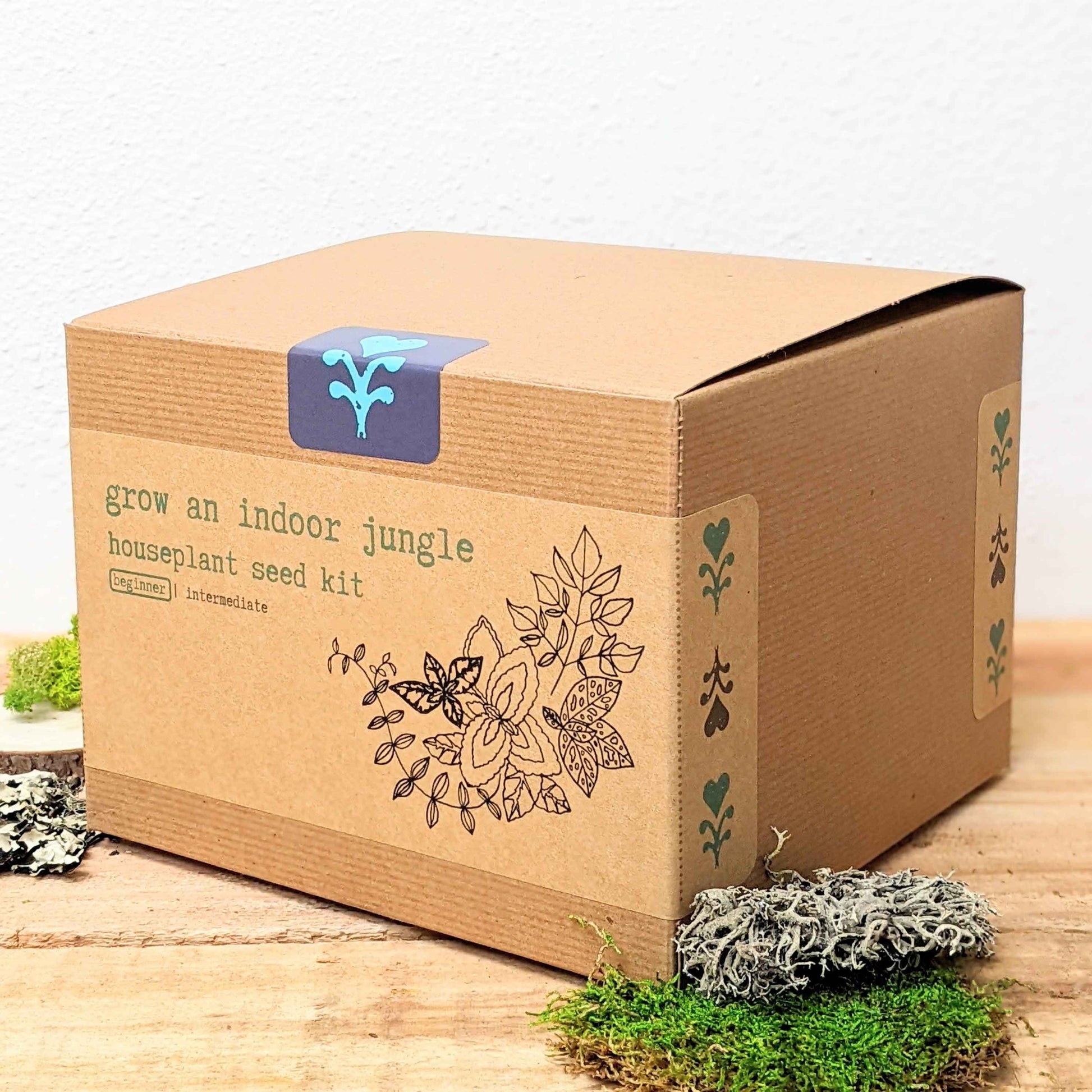 Indoor jungle houseplant seed kit box with planter moss and seed packets