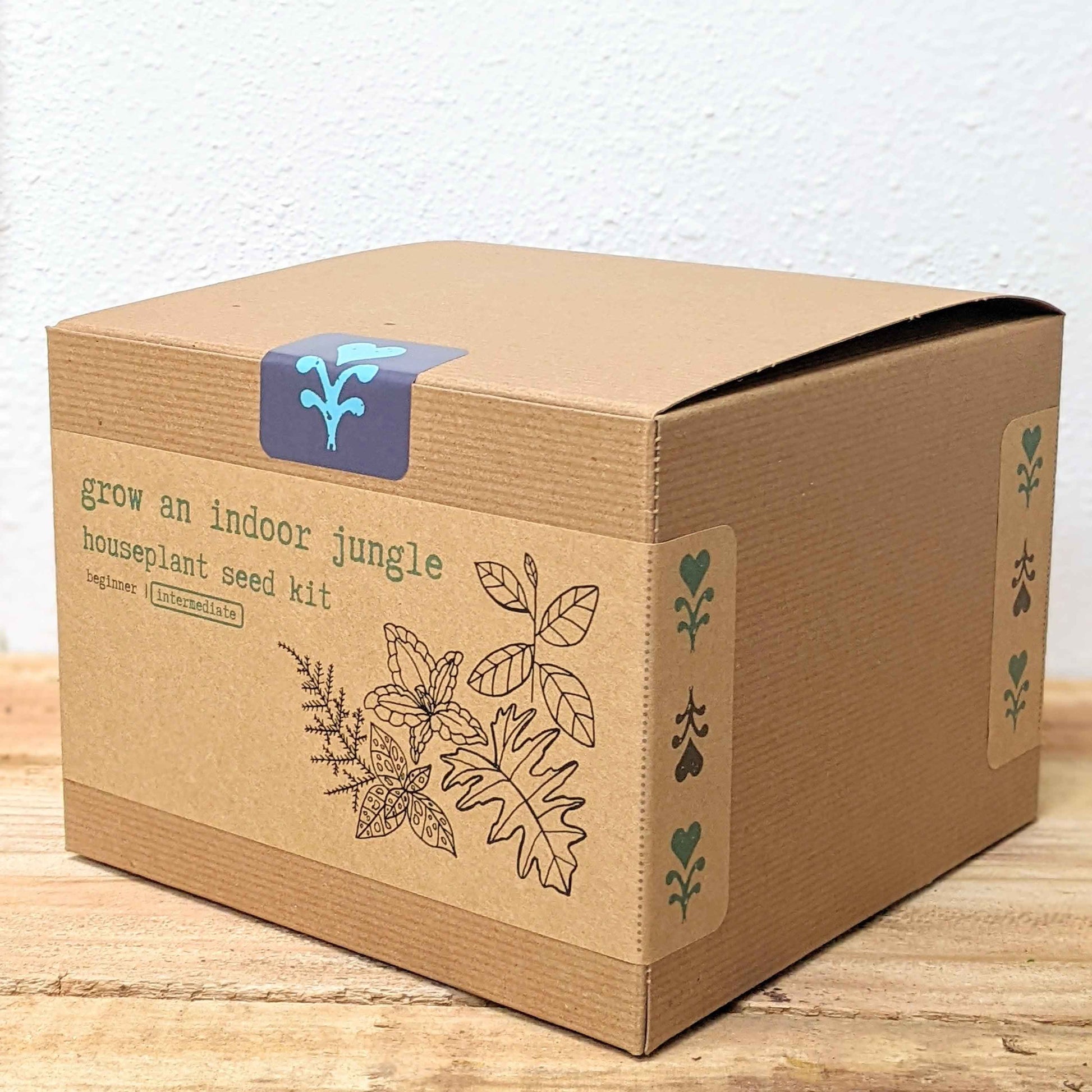 Indoor jungle houseplant seed kit box angled view with green vine side graphic