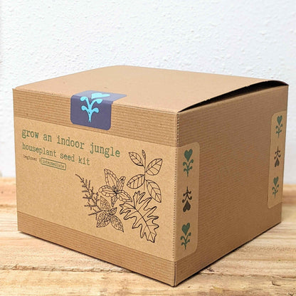 Indoor jungle houseplant seed kit box angled view with green vine side graphic