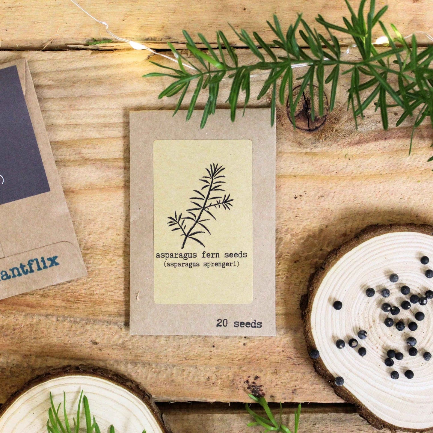 Asparagus fern seeds packet with branching fern illustration, “20 seeds” label