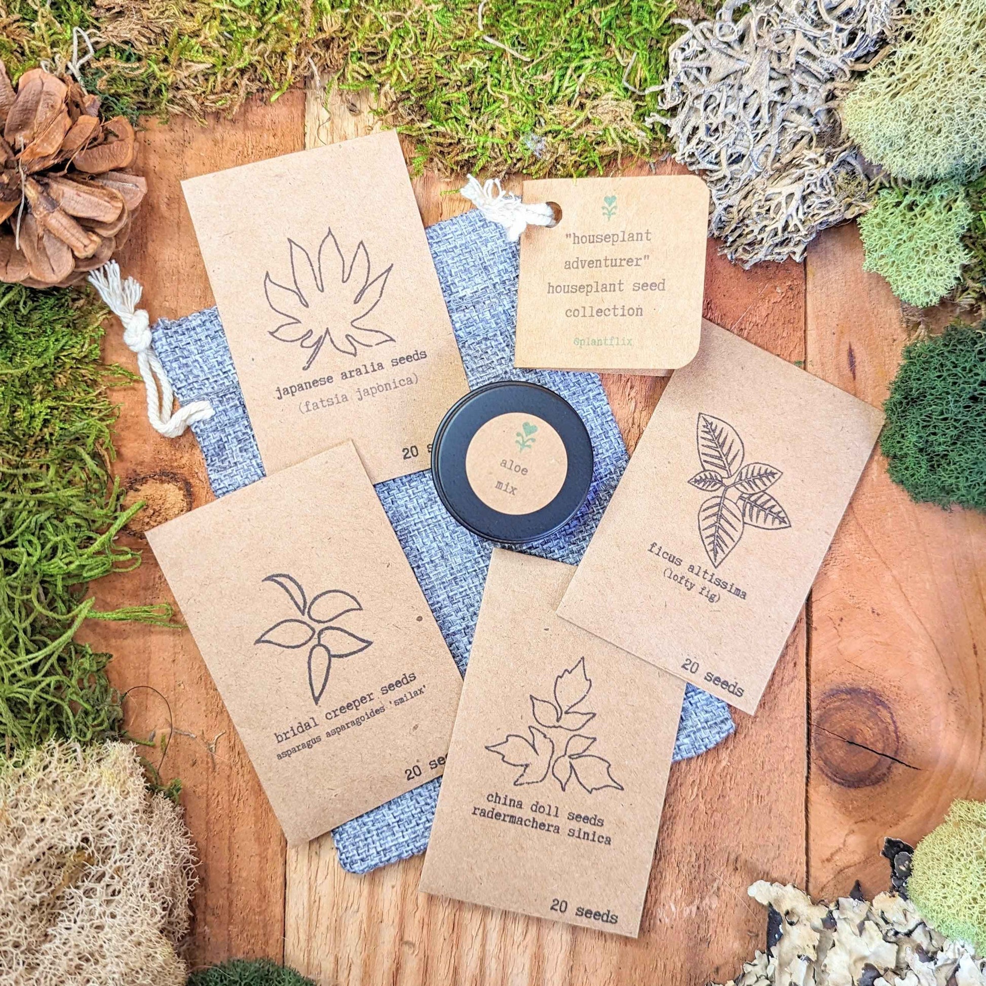 Houseplant seed collection with multiple seed packets and an aloe seed mix tin