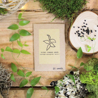 Bridal creeper seed packet with seeds in a round wood slice