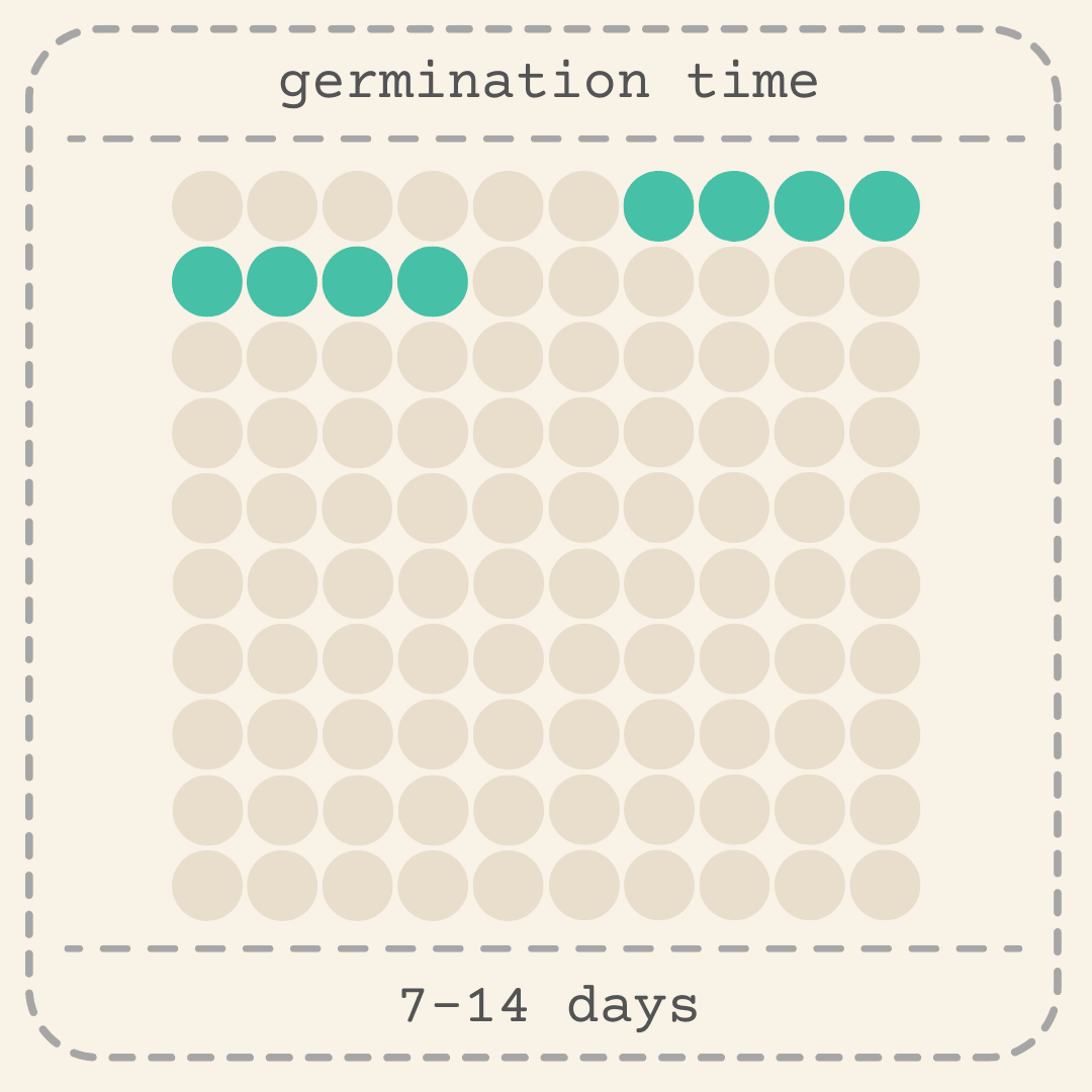 Germination time chart: 7–14 days, seed circles highlighted in teal