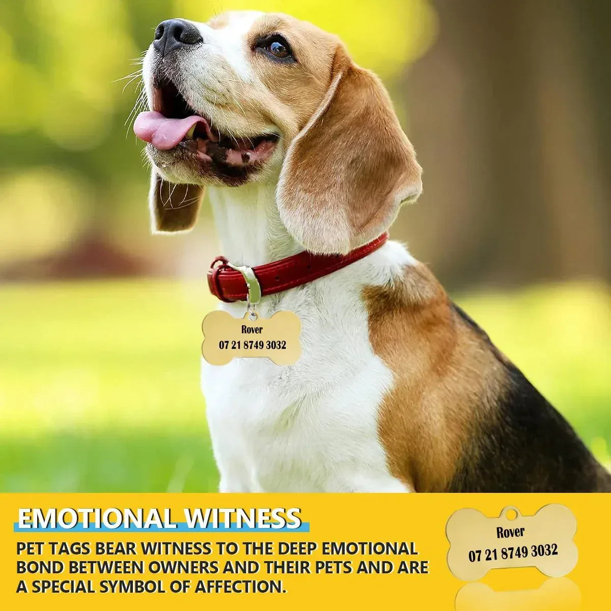 Engraved Pet ID Tag: Personalized Bone Shape, Gold/Silver Finish, Name Gift - Dream Dragons