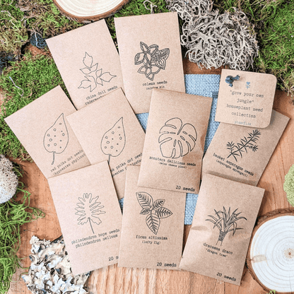 Houseplant seed collection packets with leaf line drawings and seed count labels