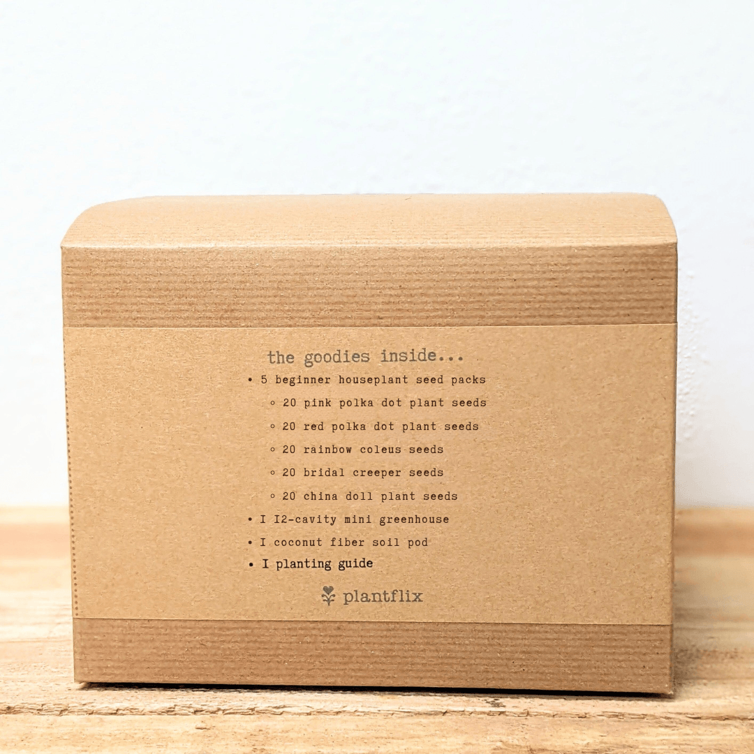 Back of Grow an indoor jungle seed kit box showing included items list