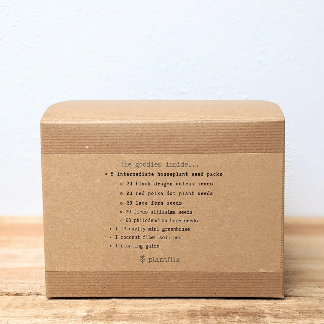 Back of indoor jungle seed kit box with plant seed pack and greenhouse details