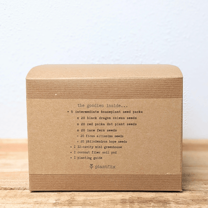 Back of indoor jungle seed kit box with plant seed pack and greenhouse details