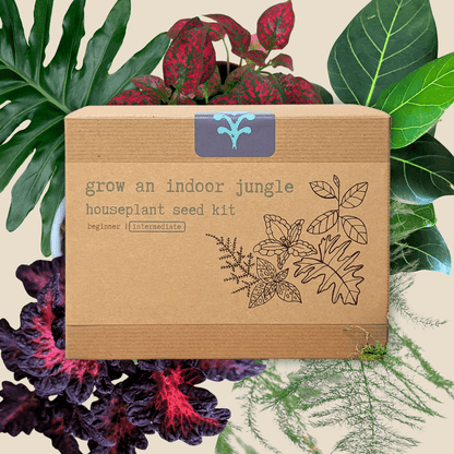 Indoor jungle houseplant seed kit box surrounded by tropical leaf illustrations