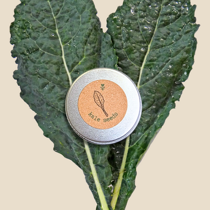 Organic Kale Seeds