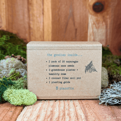 Asparagus fern seed kit box back with contents list and small fern logo