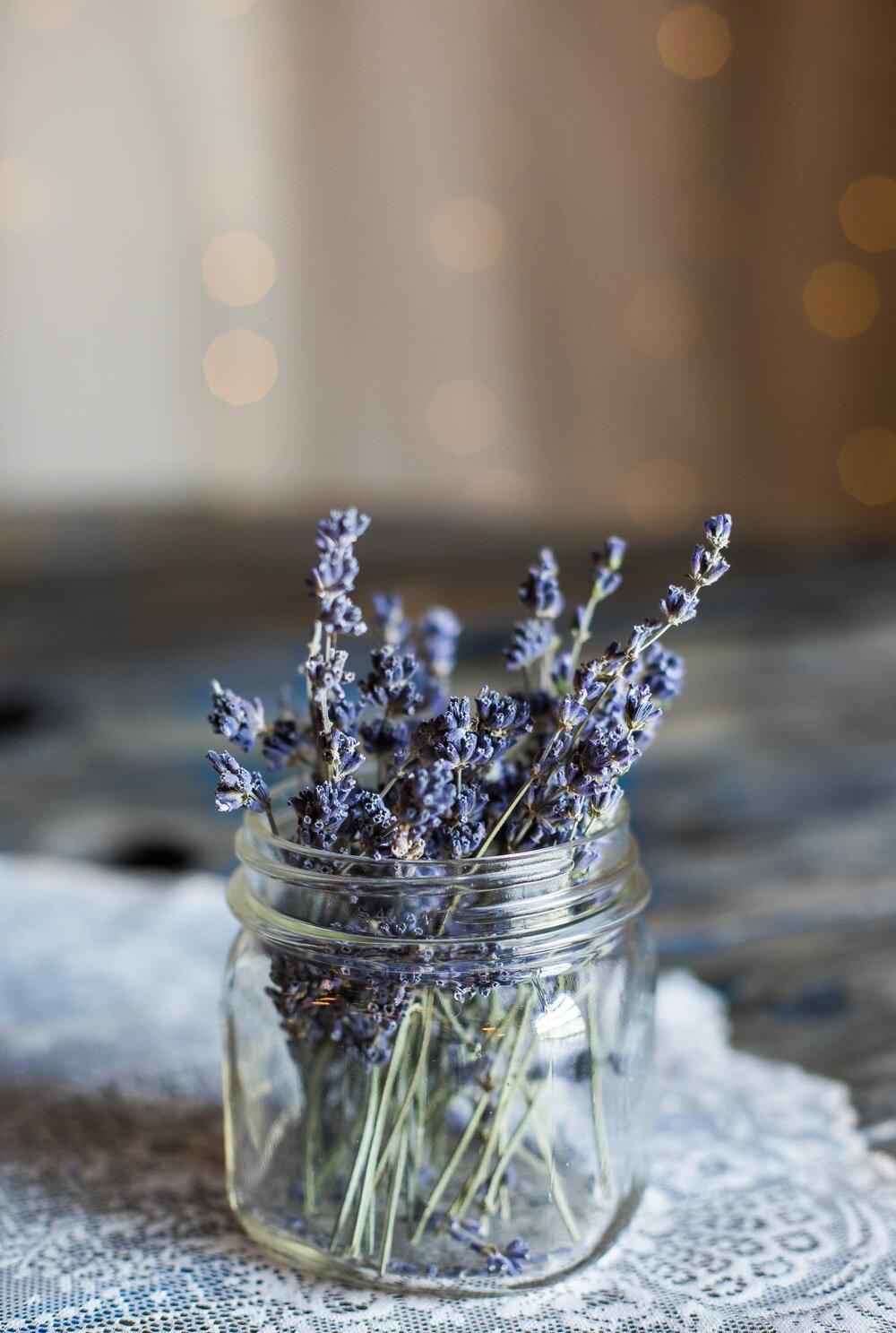 Lavender stems in a glass jar with blue-purple blooms