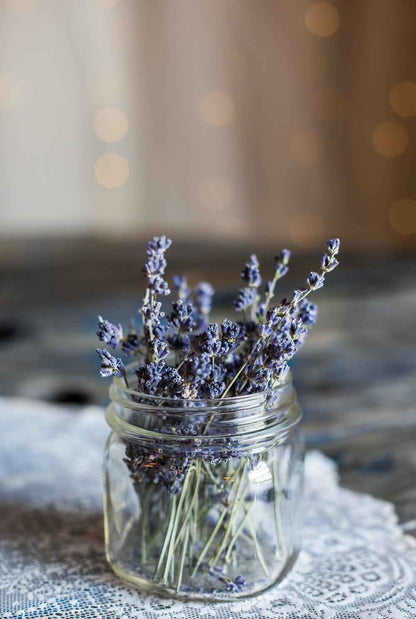 Lavender stems in a glass jar with blue-purple blooms