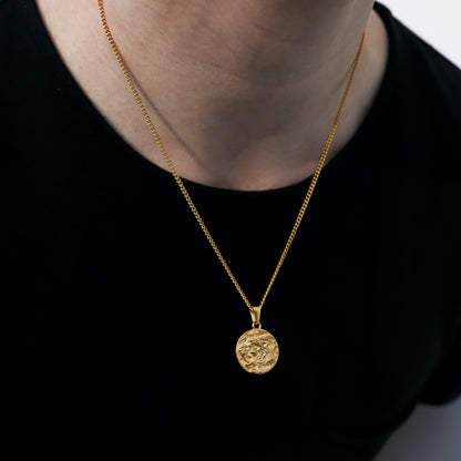 Gold lion medallion pendant necklace with round coin pendant and fine chain at center.