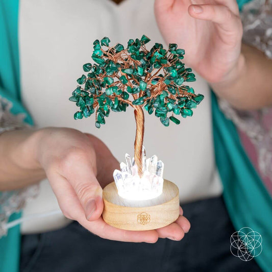 Crystal tree lamp held in hands, green branches with clear quartz cluster on wood base
