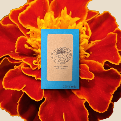 Petite Marigold Seeds packet, blue with label and '100 seeds' text