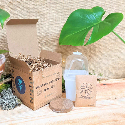 Monstera deliciosa grow kit with seed pack and growing items