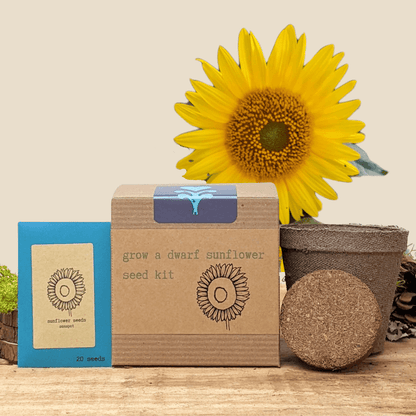 Dwarf Sunflower Grow Kit: seed packet, cardboard box, and coconut coir soil pod