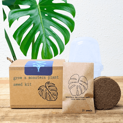 Grow a Monstera seed kit boxes with seed packet and coconut fiber soil disk