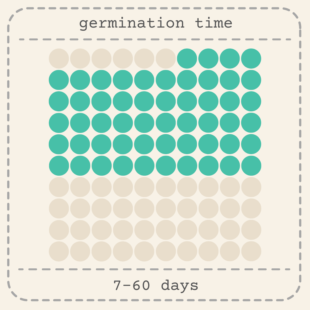 Monstera deliciosa seed germination time: 7–60 days