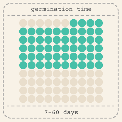 Monstera deliciosa seed germination time: 7–60 days