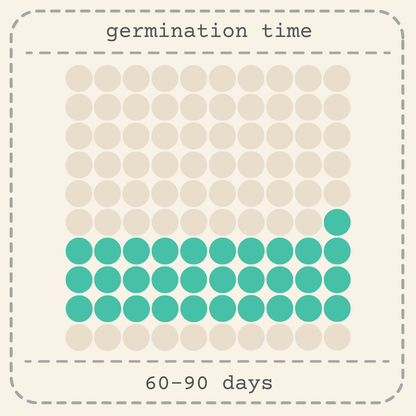 Seed germination chart showing 60–90 days