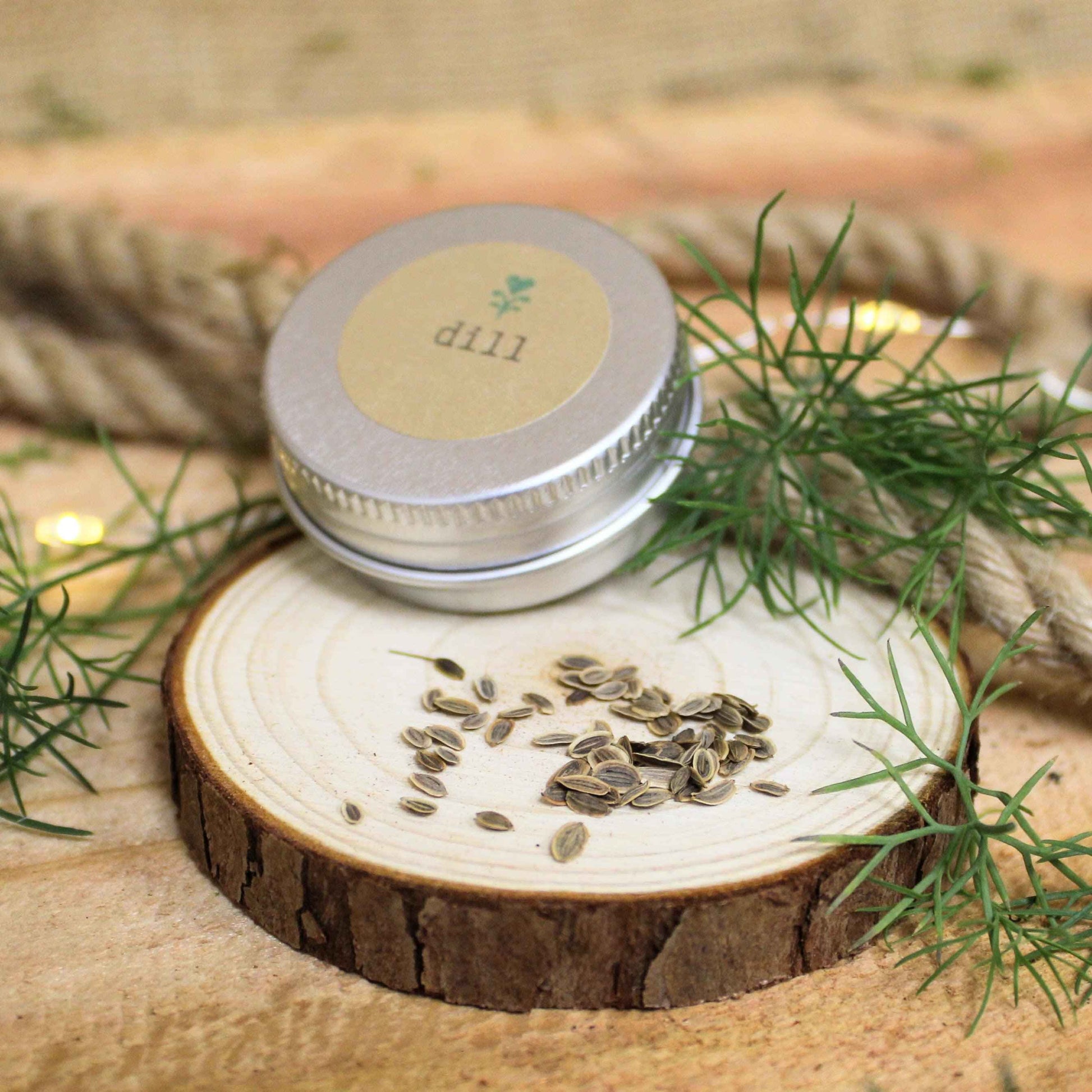 Organic Dill Seeds seeds on a cut wood slice with dill fronds nearby