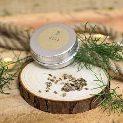Organic Dill Seeds seeds on a cut wood slice with dill fronds nearby