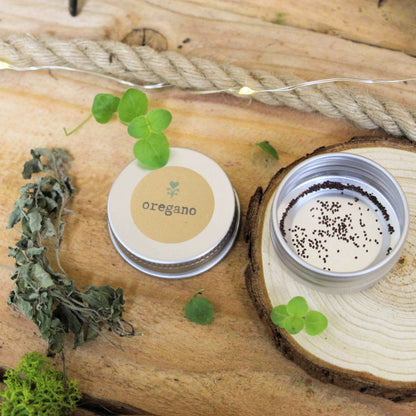 Oregano seed tin with seeds, dried oregano, and fresh leaves on wood